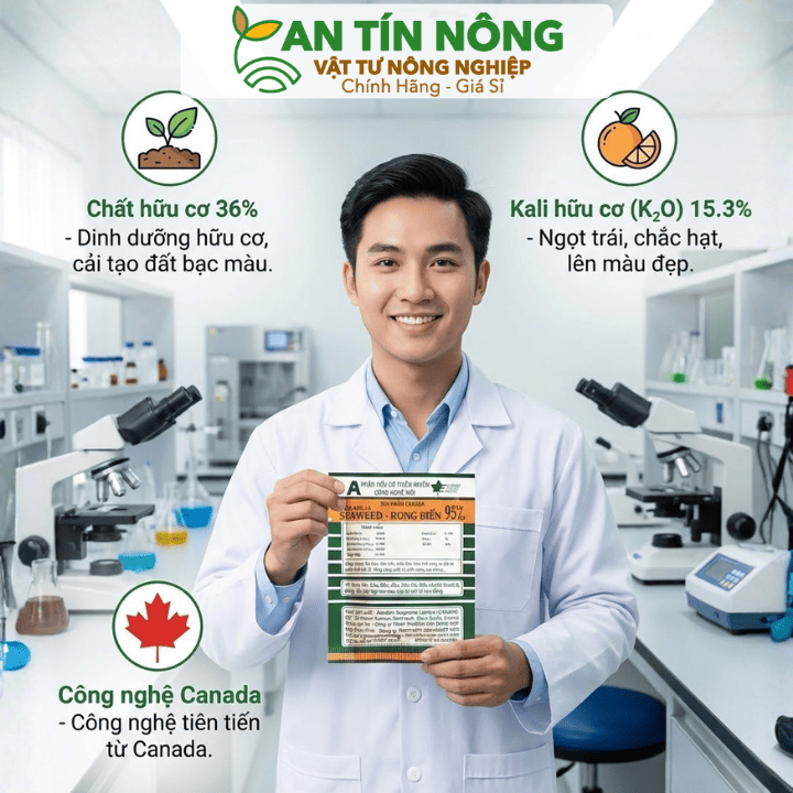 Phân Bón Lá Rong Biển Seaweed, Gói 10gr