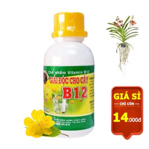 Chế phẩm Vitamin B12 chai 100ml