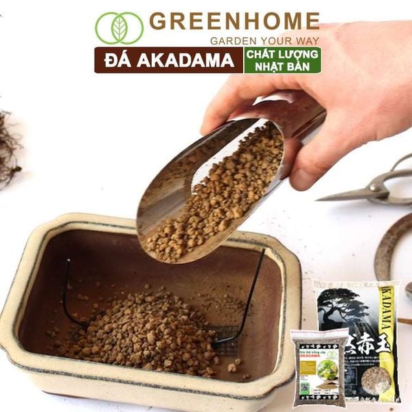 Đất akadama Greenhome, bao 1kg, giá thể bonsai, sen đá, phân nền thủy sinh, bonsai nhiều size lựa chọn