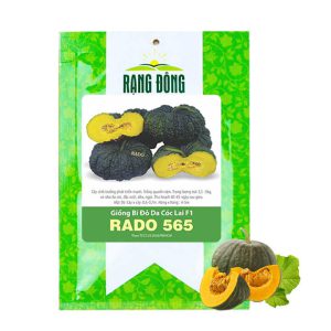 Hạt Giống Bí Đỏ, Gói 5 hạt, Dễ Trồng Quanh Năm, Nảy Mầm Cao, Thu Hoạch Nhanh, Năng Suất Cao T03