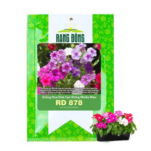 Hạt Giống Hoa Dừa Cạn, Gói 0.03gr, Sai Hoa, Màu Rực Rỡ, Dễ Trồng Quanh Năm, Nảy Mầm Cao H09