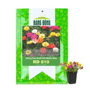 Hạt Giống Hoa Mười Giờ, Gói 0.03gr, Sai Hoa, Màu Rực Rỡ, Dễ Trồng Quanh Năm, Nảy Mầm Cao H08