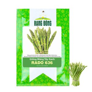 Hạt Giống Măng Tây Xanh, Gói 0.5gr, Dễ Trồng Quanh Năm, Nảy Mầm Cao, Thu Hoạch Nhanh, Năng Suất Cao T19