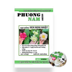 Hạt Giống Hoa Sen Nhật Mini, Gói 10 hạt, Nhiều Màu, Dễ Trồng, Nảy Mầm Tốt H01