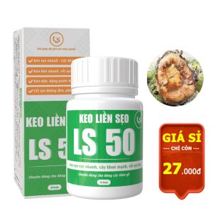 Keo Liền Sẹo LS50