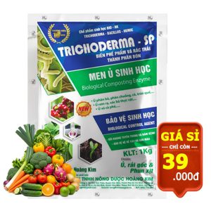Nấm đối kháng Trichoderma Hoàng Kim