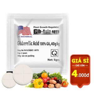 Phân Bón Lá GA3, Viên 5gr, Dạng Sủi Tiết Kiệm, Thúc Đẩy Ra Đọt, Bông Lớn, Trái To