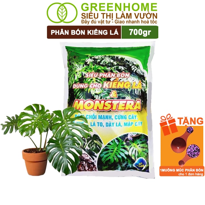 Phân Bón Cây Kiểng Lá, Bao 700gr, Trầu Bà Monstera, Cây Nội Thất, Giúp Đâm Chồi Mạnh, Rễ Khoẻ, Lá To