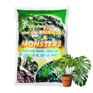 Phân Bón Cây Kiểng Lá, Bao 700gr, Trầu Bà Monstera, Cây Nội Thất, Giúp Đâm Chồi Mạnh, Rễ Khoẻ, Lá To