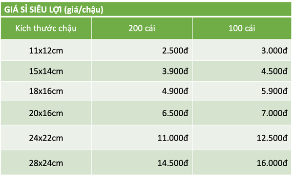 Chậu nhựa trồng cây, đa dạng kích thước, nhựa cứng, thoát nước tốt, trồng cây, hoa, kiểng lá |Greenhome
