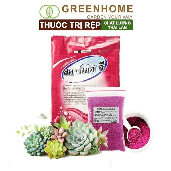Thuốc tím trị rệp Starkle-G, lưu dẫn, an toàn, hiệu quả, dùng cho sen đá, xương rồng |Greenhome