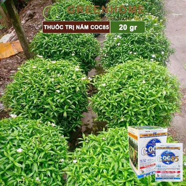 Thuốc trị nấm Coc85 WP, gói 20g ,trừ thán thư, cháy lá, vàng lá, đốm lá cho hoa hồng, kiểng lá |Greenhome