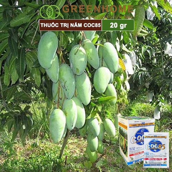 Thuốc trị nấm Coc85 WP, gói 20g ,trừ thán thư, cháy lá, vàng lá, đốm lá cho hoa hồng, kiểng lá |Greenhome