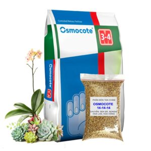 Phân Tan Chậm Oscomote, Bao 50gr, Chuyên Sen Đá, Hoa Hồng, Xương Rồng, Bonsai, GIúp Sen Cứng, Giữ Form, Lên Màu Nhanh 