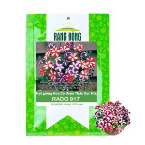 Hạt Giống Hoa Dạ Yến Thảo Sọc, Gói 0,03g, Màu Rực Rỡ, Dễ Trồng Quanh Năm, Nảy Mầm Cao H12