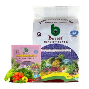 Phân bón NPK 16-12-8-11S+TE, Better, Bao 1kg, Phát Triển Nhanh Thân, Cành, Lá, Bộ Rễ Trên Kiểng
