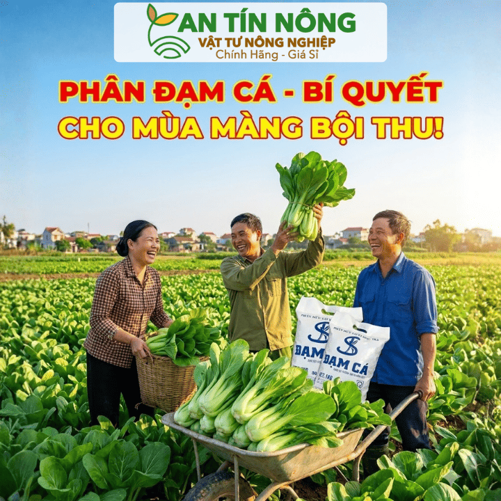 Phân Đạm Cá Viên Nén Bao 1Kg