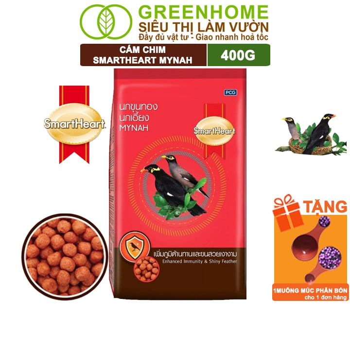Cám Chim Sáo, Nhồng Thái, Greenhome, Smartheart, Gói 400gr, Tăng Cường Hệ Miễn Dịch Và Bộ Lông Bóng Mượt, Màu Sắc Rực Rỡ