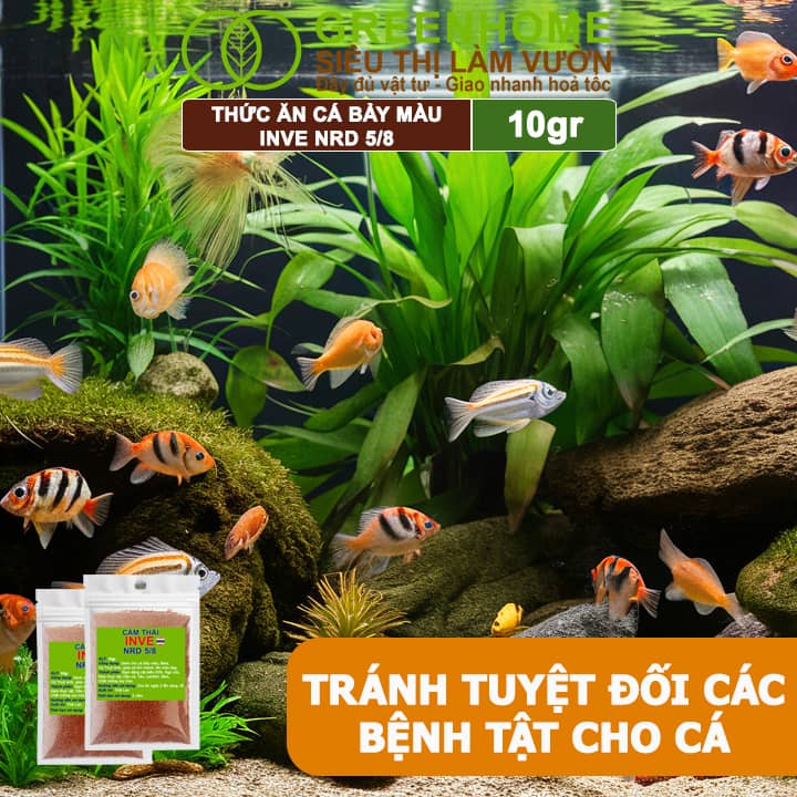 Thức Ăn Cho Cá Bảy Màu, Guppy Greenhome, INVE NRD 5/8, Gói 10gr, Thức Ăn Cao Cấp, Kích Thích Lên Màu