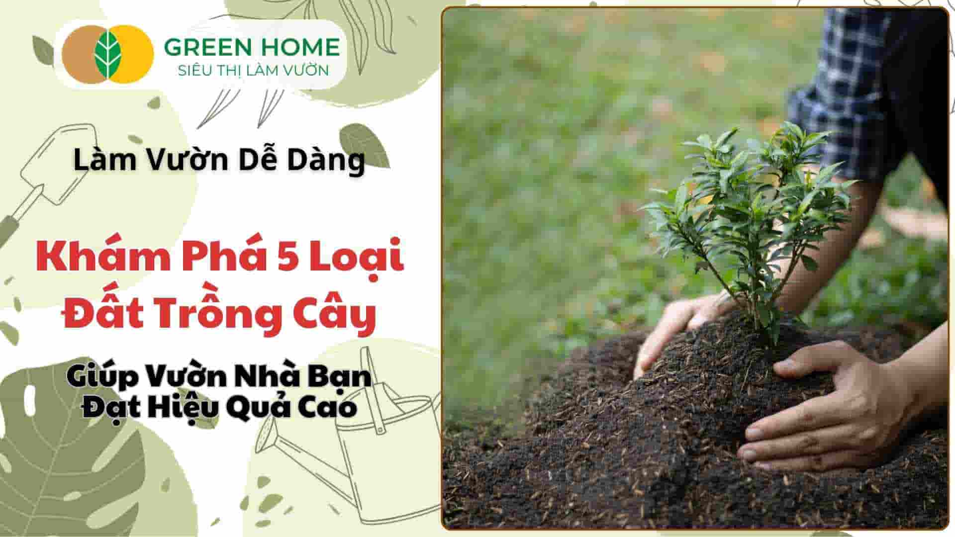 Đất Trồng Cây – Khám Phá 5 Loại Đất Được Yêu Thích Để Chăm Sóc Cây Cảnh