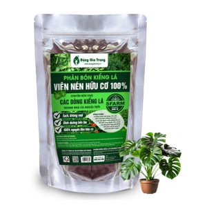 Phân Bón Kiểng Lá GreenHome, Sfarm, Bao 500gr, Chuyên Cho Các Dòng Kiểng Lá Trong Nhà Và Ngoài Trời