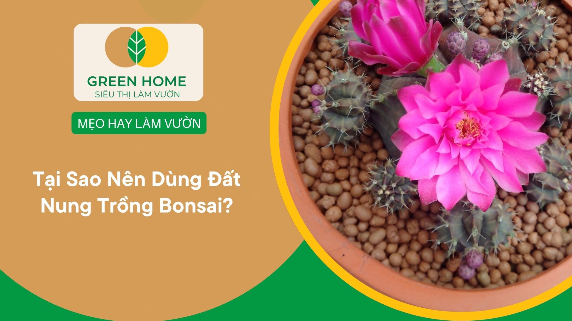 Tại Sao Nên Dùng Đất Nung Trồng Bonsai?