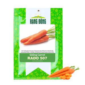 Hạt Giống Cà Rốt GreenHome, Gói 5g~2800 hạt, Dễ Trồng Quanh Năm, Củ To, Dài, Sinh Trưởng Khỏe T40