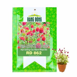 Hạt Giống Hoa Cúc Bách Nhật Đỏ GreenHome, Gói 0,1g~50 hạt, Dễ Trồng Quanh Năm, Ra Hoa Liên Tục H16