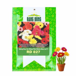 Hạt Giống Hoa Cúc Đồng Tiền Nhiều Màu GreenHome, Gói 10 hạt, Hoa Nở Rực Rỡ, Dễ Trồng Quanh Năm H17