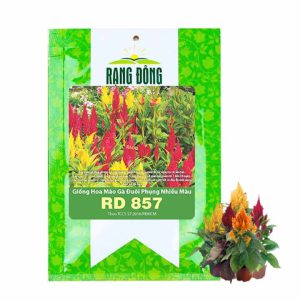 Hạt Giống Hoa Mào Gà Đuôi Phụng Nhiều Màu GreenHome, Gói 0,1g~200 hạt, Dễ Trồng Quanh Năm H18
