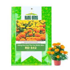 Hạt Giống Hoa Vạn Thọ Cao Nhiều Màu GreenHome, Gói 0,1g~60 hạt, Dễ Trồng Quanh Năm, Hoa To H20