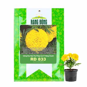 Hạt Giống Hoa Vạn Thọ Pháp Lùn F1 Vàng Chanh, Gói 10 hạt, Dễ Trồng Quanh Năm, Trồng Chậu