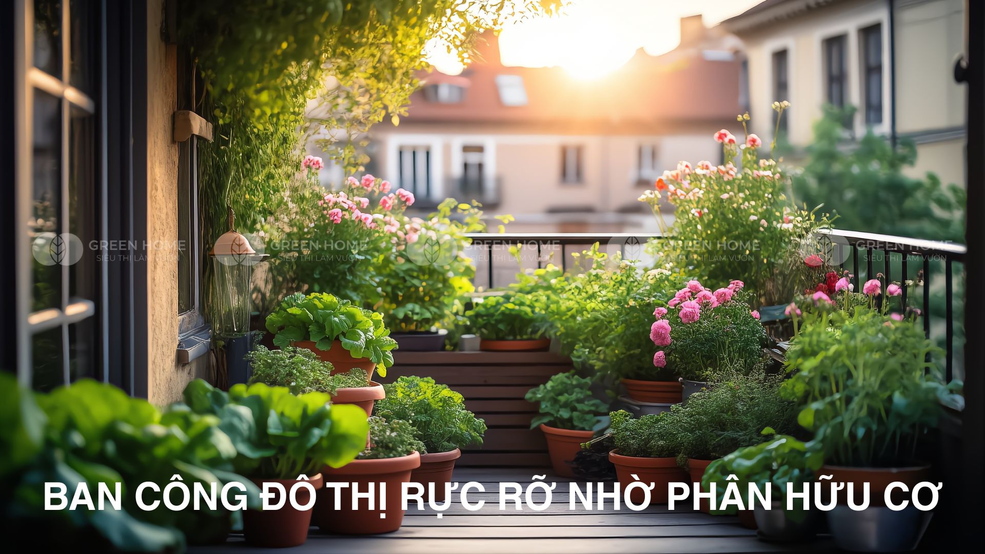 Phân bò, phân dê hay phân gà – Chọn ai?