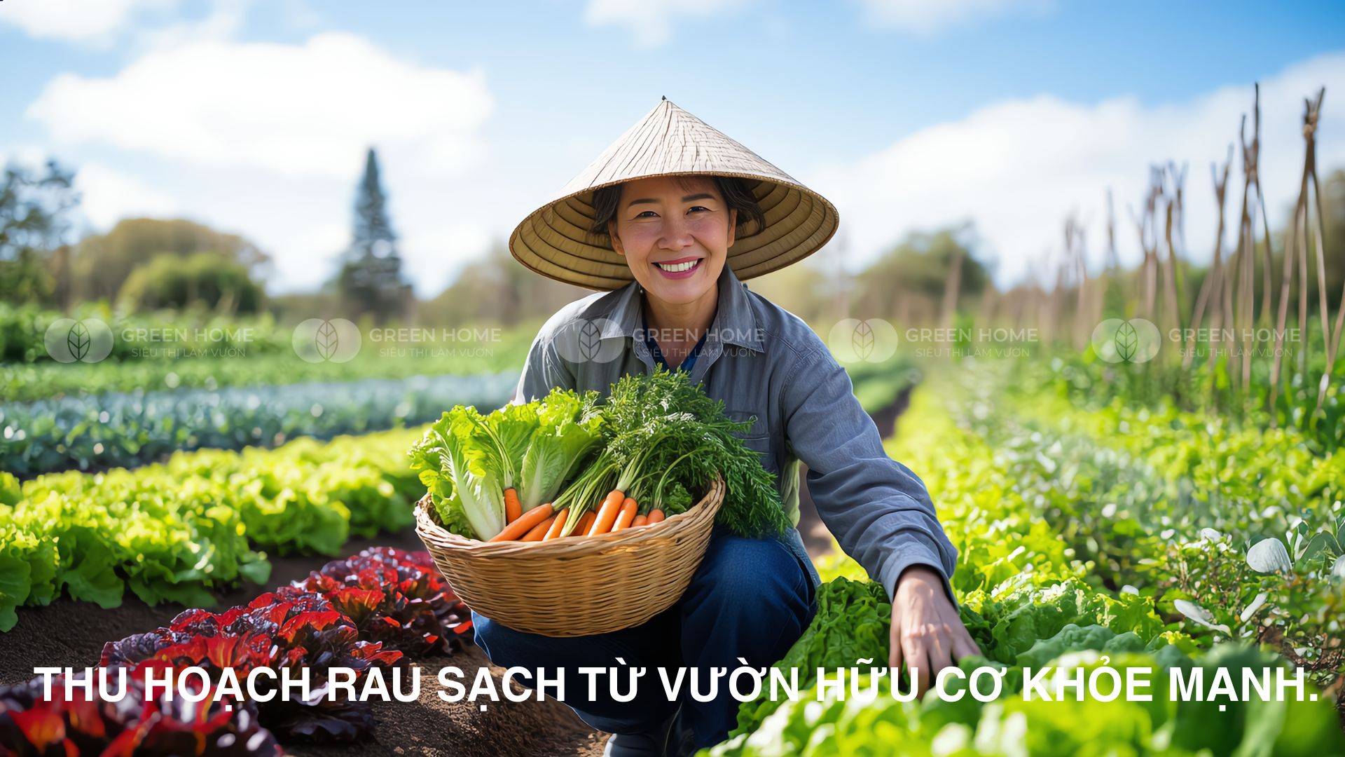 Phân bò, phân dê hay phân gà – Chọn ai?