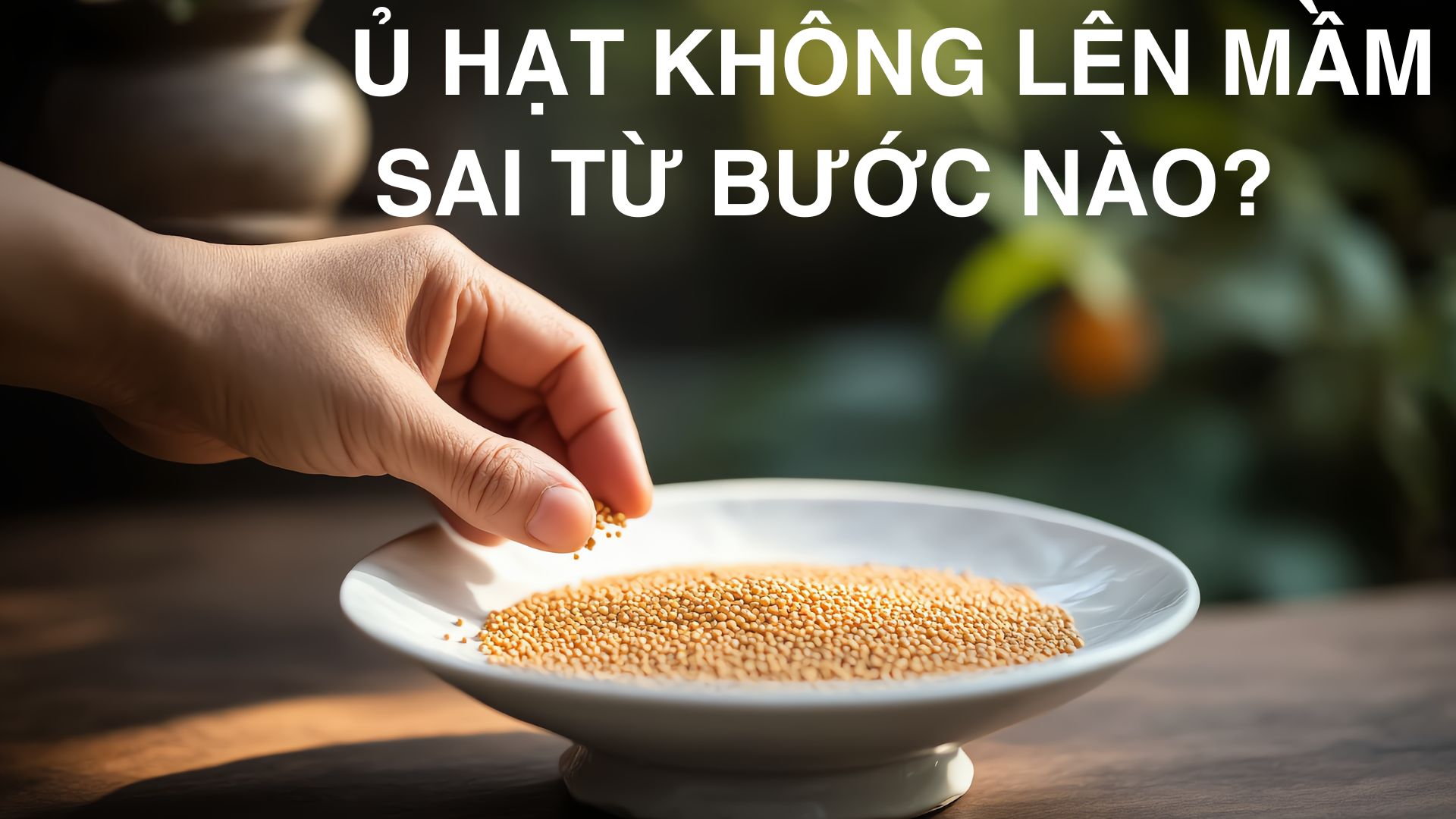 Ủ hạt giống không lên mầm – Sai từ bước nào?