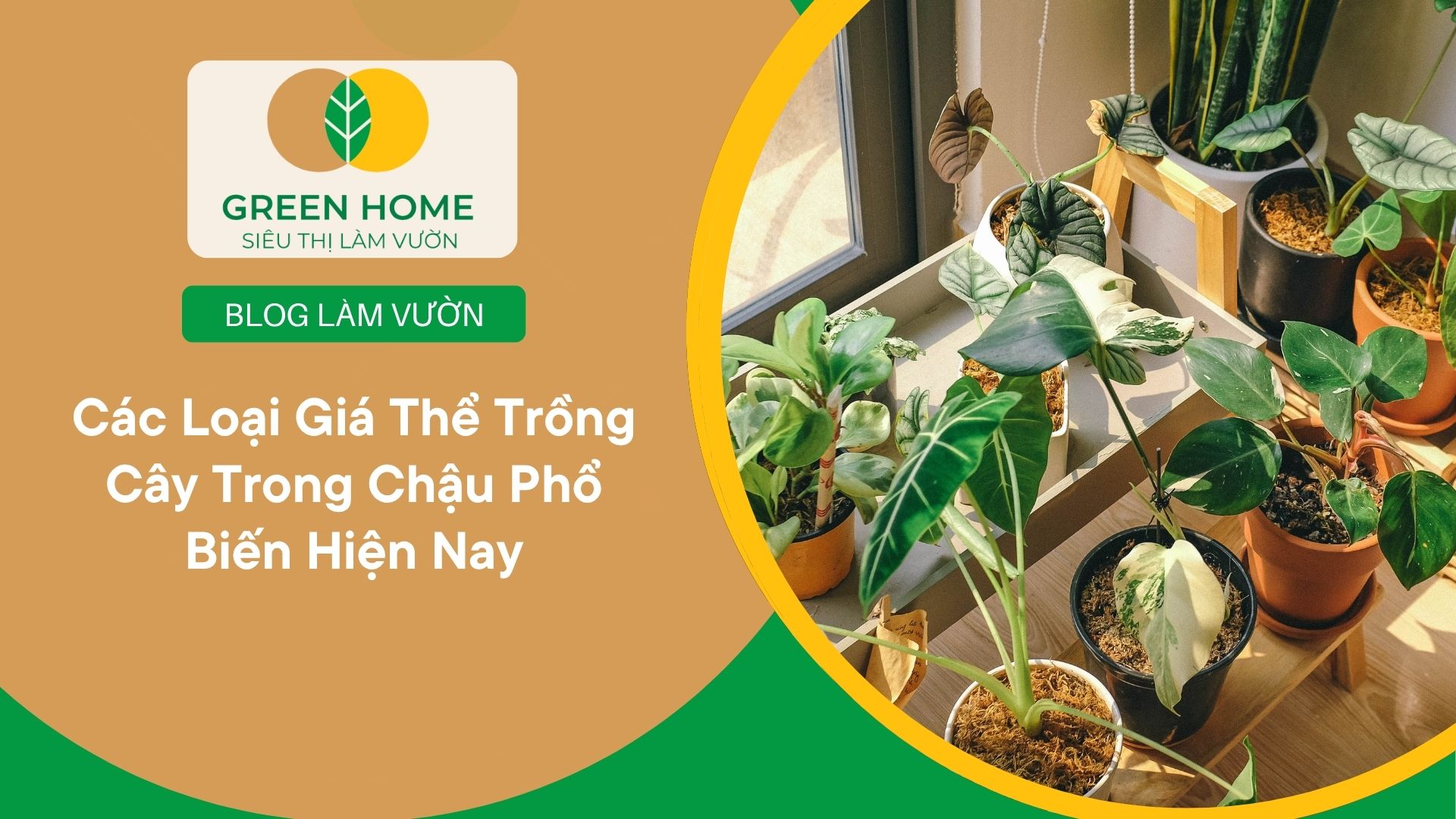 Các Loại Giá Thể Trồng Cây Trong Chậu Phổ Biến Hiện Nay