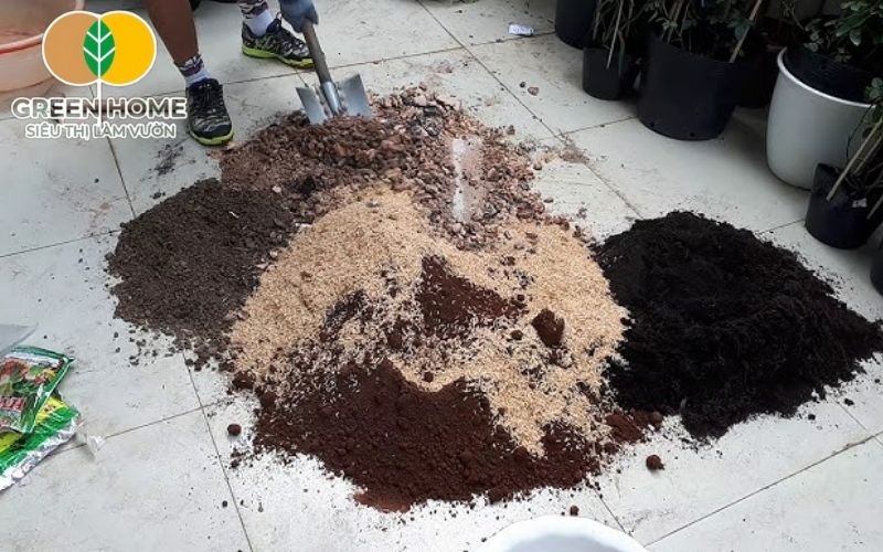 Giá thể trồng hoa trộn đúng cách giảm thiểu nguy cơ sâu bệnh