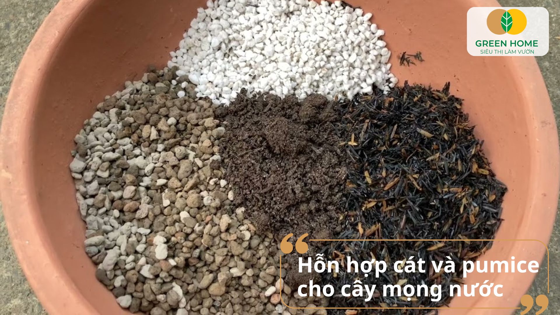 Xương rồng sẽ khỏe mạnh và ít bệnh hơn khi dùng giá thể trồng xương rồng chuyên dụng