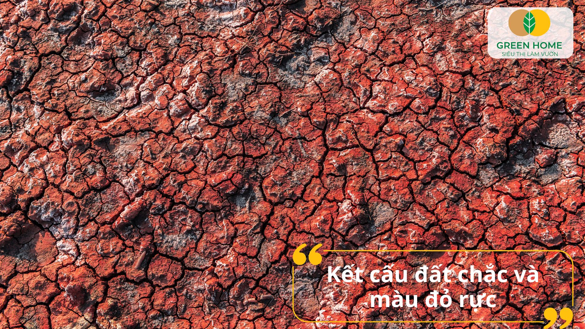 Đất đỏ bazan cần được che phủ hữu cơ để chống xói mòn trong mùa mưa