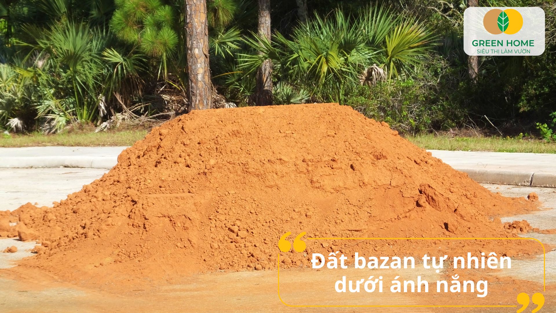 Đất đỏ bazan phù hợp với nhiều loại cây lâu năm nhờ giàu dưỡng chất