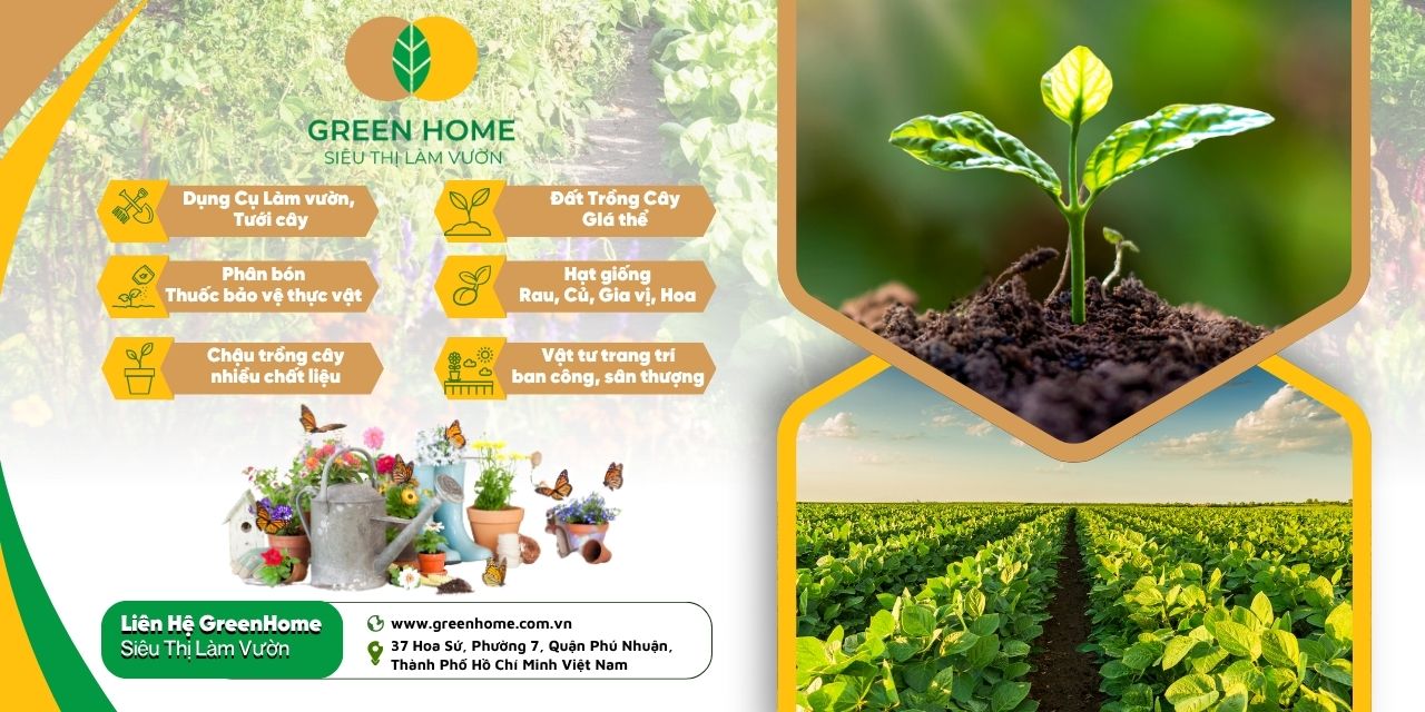 Liên hệ ngay Greenhome để được tư vấn miễn phí