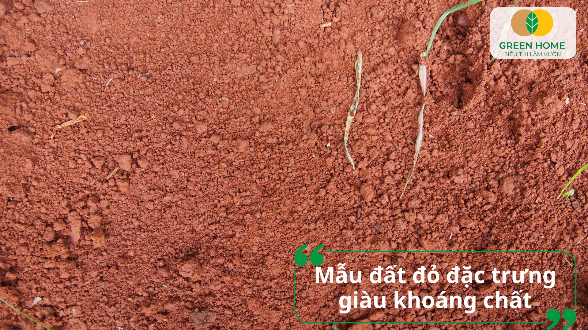 Đất đỏ bazan dễ canh tác nếu biết cách điều chỉnh độ ẩm và dinh dưỡng