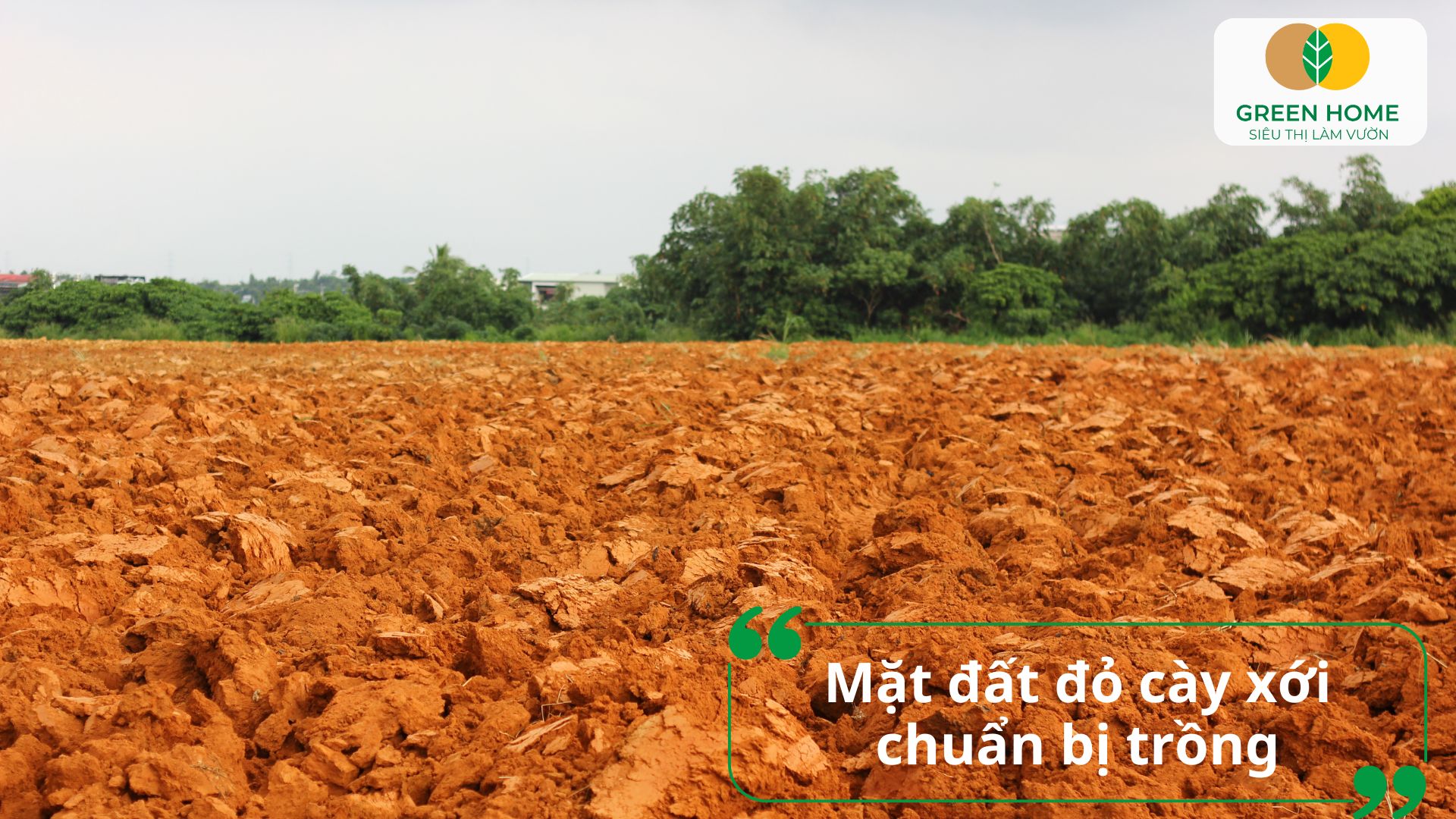 Đất đỏ bazan giàu khoáng chất nhưng cần được quản lý pH hợp lý