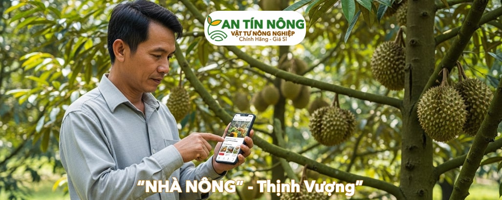 VTNN An Tín Nông