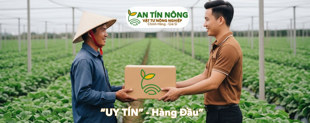 VTNN An Tín Nông