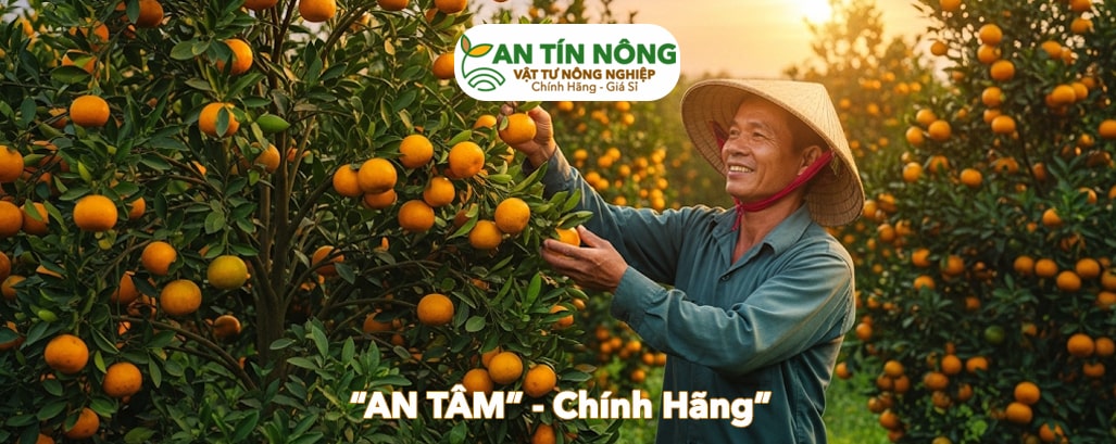 VTNN An Tín Nông
