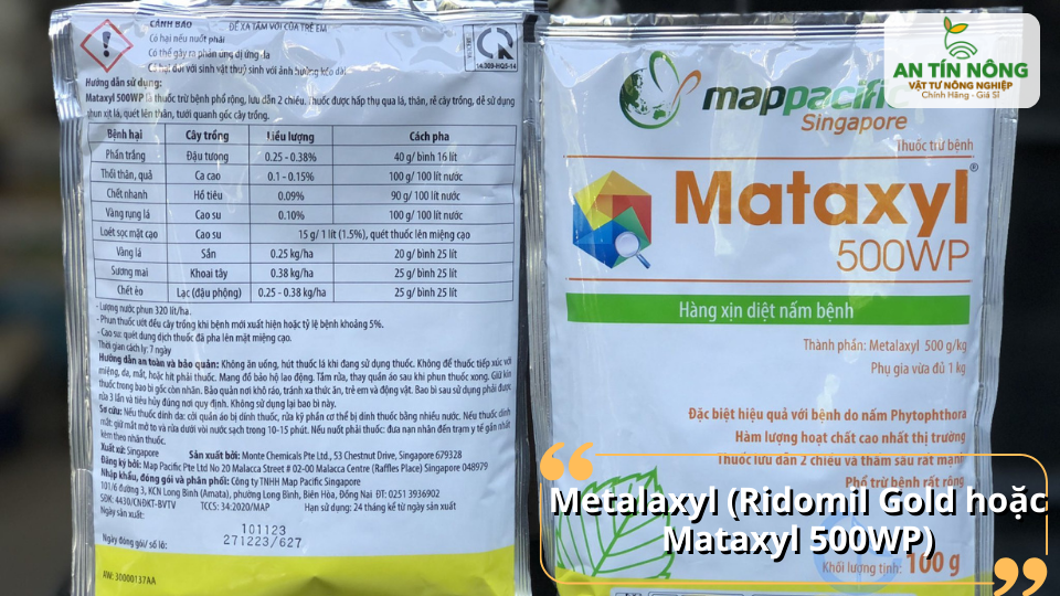 Metalaxyl 500WP – Đặc trị nấm Phytophthora, thấm nhanh, hiệu quả cao cho sầu riêng.