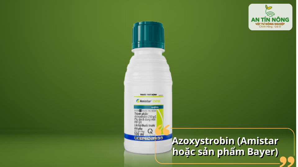 Azoxystrobin – Kháng nấm phổ rộng, bảo vệ lá – trái – cành toàn diện cho sầu riêng.