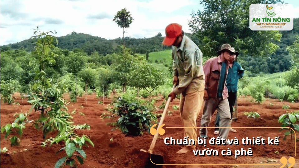 Làm đất kỹ, thiết kế vườn hợp lý giúp cây sinh trưởng tốt, hạn chế xói mòn và sâu bệnh.