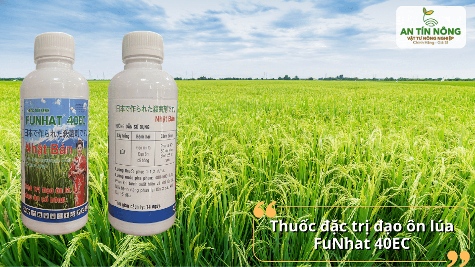 FuNhat 40EC – thuốc đặc trị đạo ôn lá và cổ bông, giảm nhanh vết bệnh.